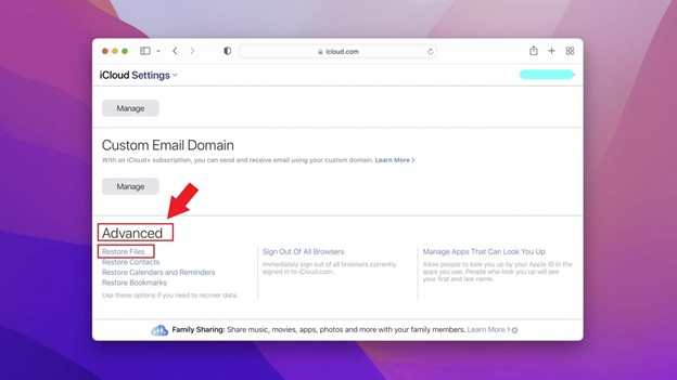 Recover Deleted Files 