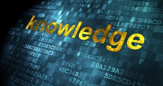 Chatbots and Knowledge Management