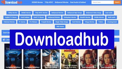 DownloadHub