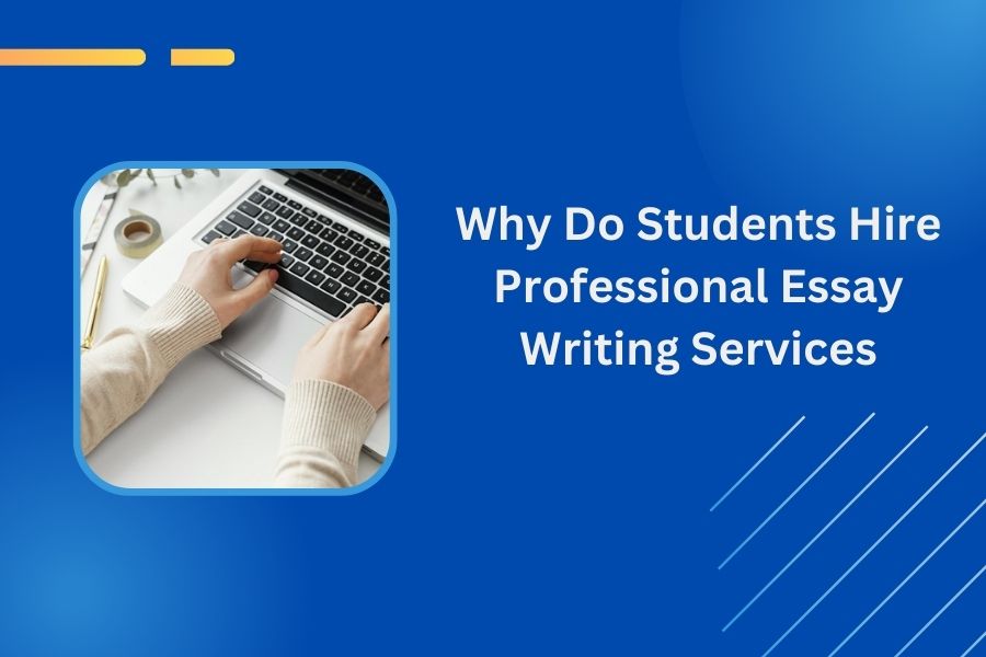 essay writing service