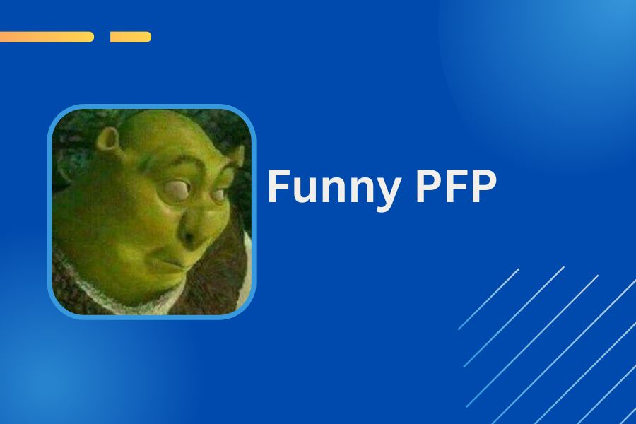 Funny PFP