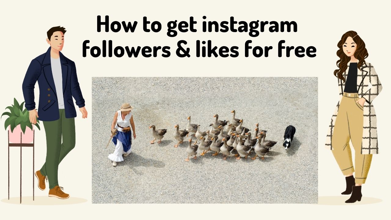 get instagram followers