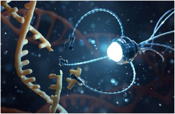 Medicine Transportation Facilitation