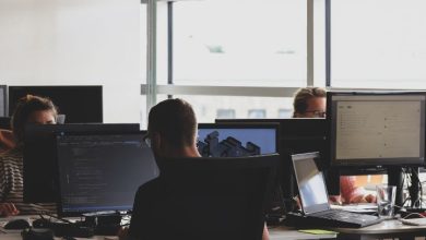 Software Development