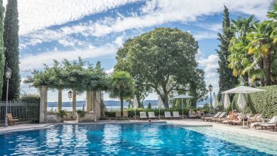 Which Pool Shape Is Right for You