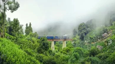 Places Near Bandipur